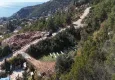Buy A plot of land in Alanya, Tepe district with views 4 