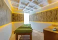 Buy 1+1 apartment in Kestel — furnished, affordable price 28 