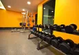 Buy 2+1 apartment in Mahmutlar — furniture, mountain view, first coastline  17 