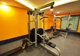 Buy 2+1 apartment in Mahmutlar — furniture, mountain view, first coastline  18 