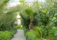 Buy Three-storey 3+2 villa in Kargicak - sea view, furniture, surrounded by greenery 11 