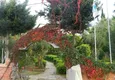Buy Three-storey 3+2 villa in Kargicak - sea view, furniture, surrounded by greenery 7 