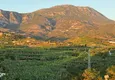 Affordable Purchase Urgent sale of real estate in Alanya - apartments with sea view in Mahmutlar 48