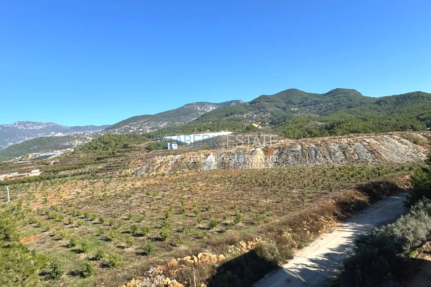 Purchase Spacious duplex penthouse with panoramic mountain views — Alanya, Upper Oba 41