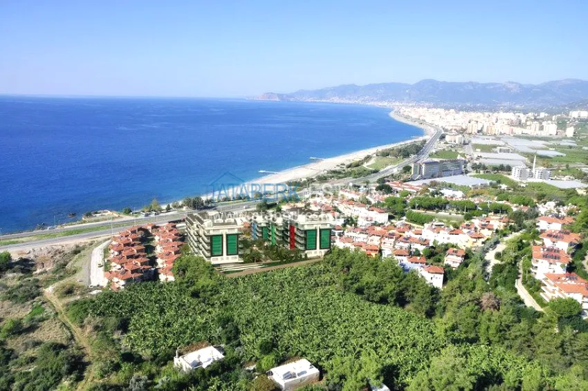 Beachfront complex with developed infrastructure 2