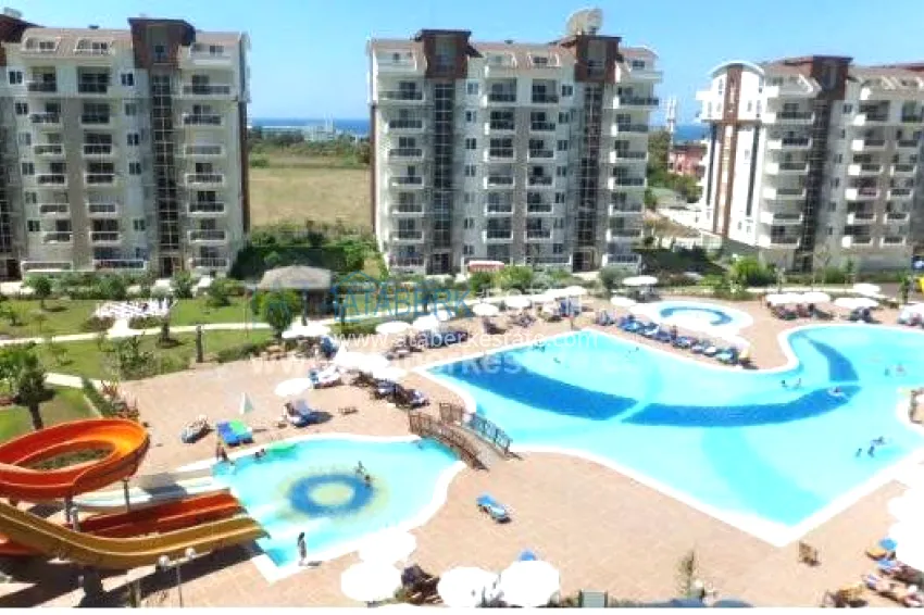 Renting an apartment in the Orion City complex 1