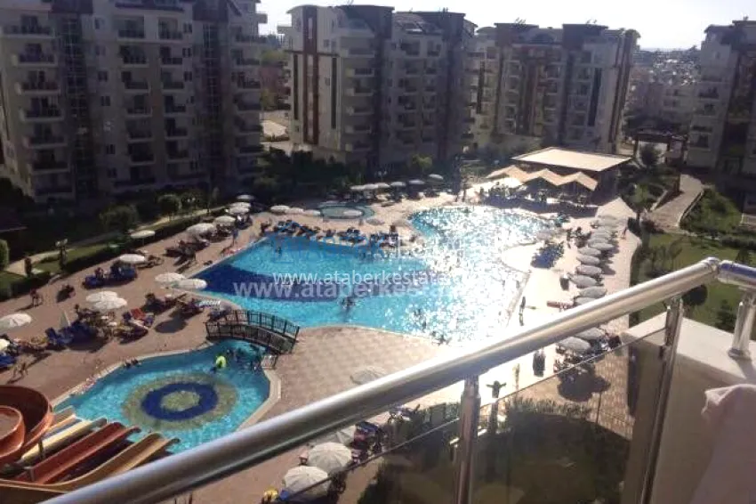 Renting an apartment in the Orion City complex 2