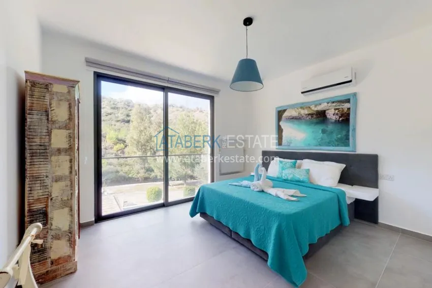 Purchase  Уникальные аутентичные дома в районе Беллапаис  9 