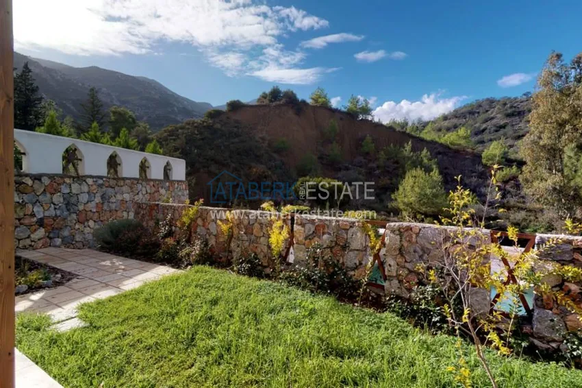 Purchase  Уникальные аутентичные дома в районе Беллапаис  13 