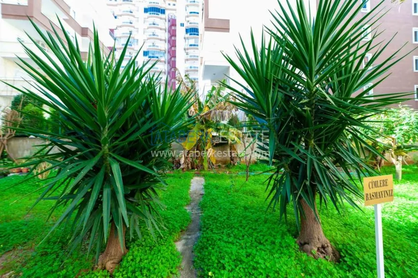 Refurbished spacious flat with a separate kitchen  9 