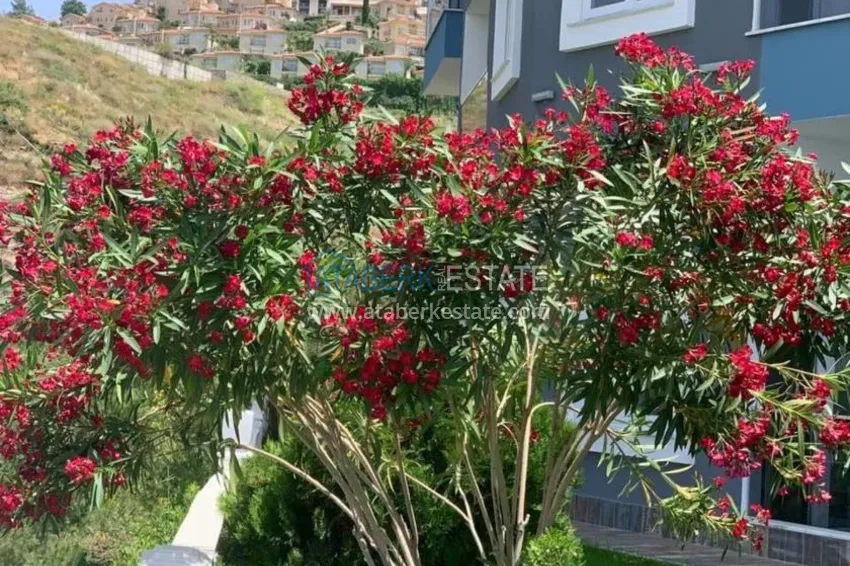 New complex under construction in Kargicak!  16 