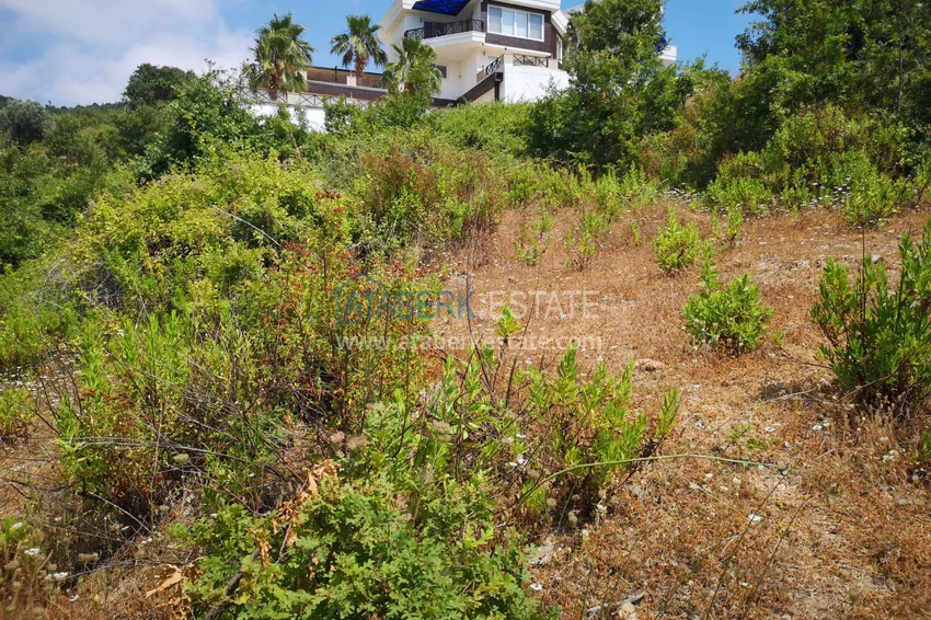 Land in Kargicak with permission to build 2 