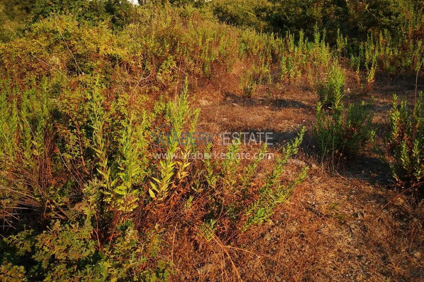 Land in Kargicak with permission to build 8 