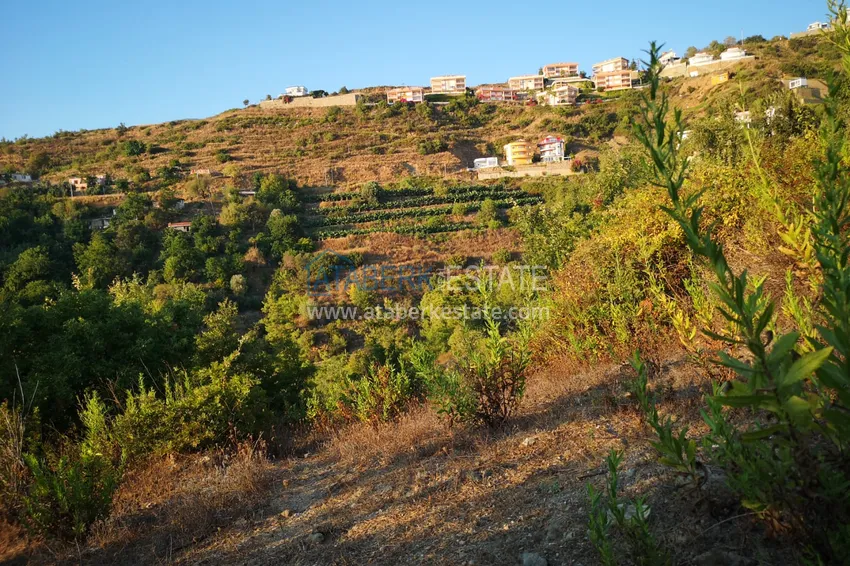 Land in Kargicak with permission to build 11 