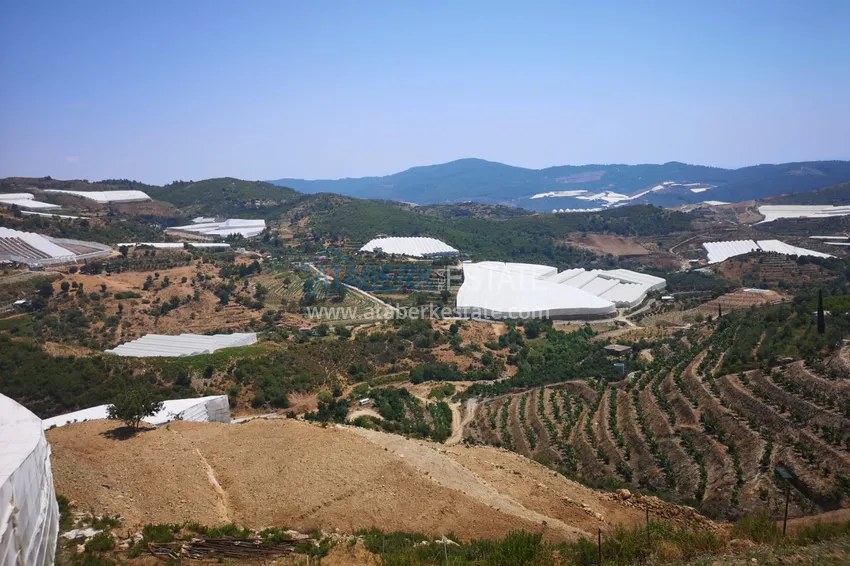 Land in Kargicak with permission to build 13 