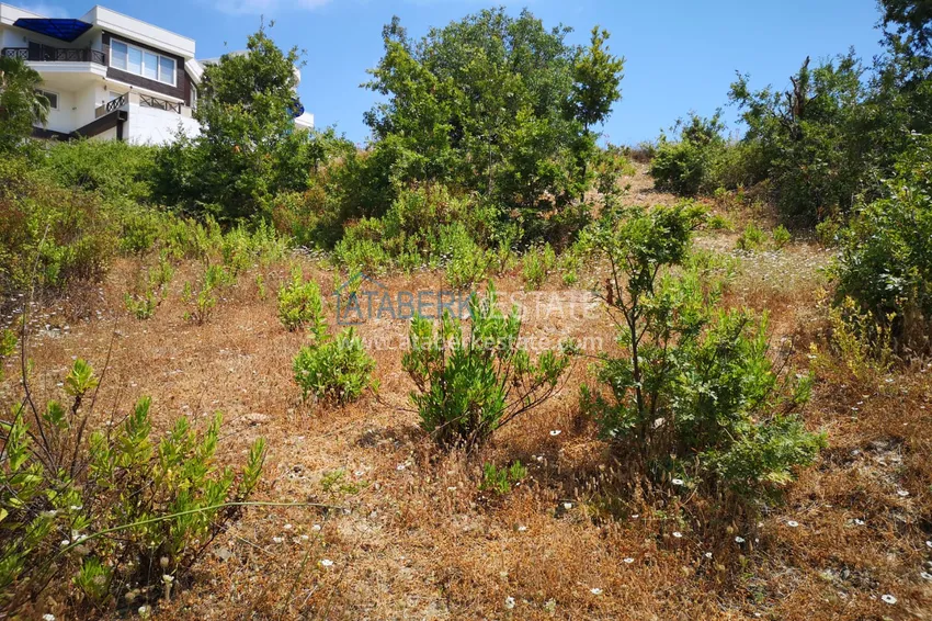 Land in Kargicak with permission to build 10 