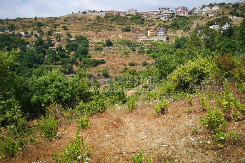 Land in Kargicak with permission to build 4 