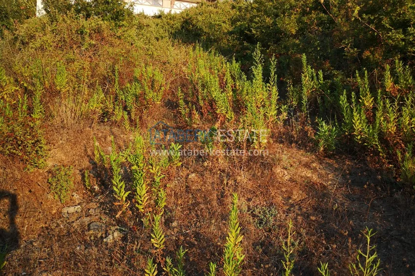 Land in Kargicak with permission to build 15 