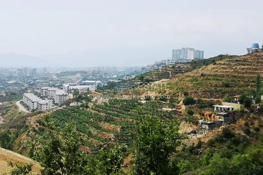 Land in Kargicak with permission to build 19 