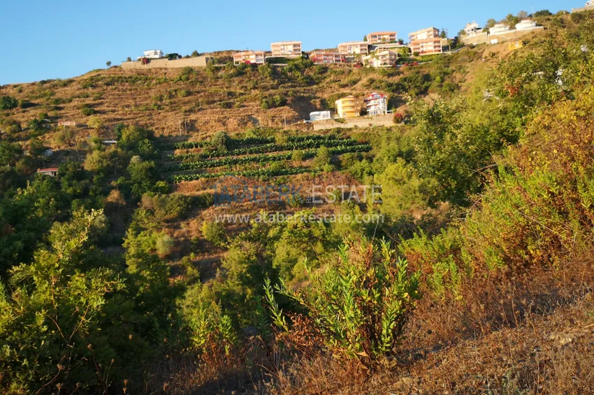 Land in Kargicak with permission to build 20 