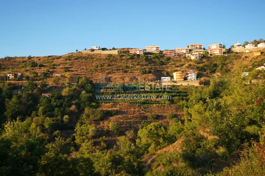 Land in Kargicak with permission to build 22 