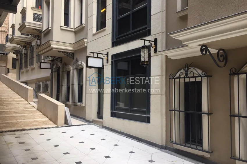 Luxury Apartments and Commercial Properties in Istanbul Taksim Citizenship Opportunity 27 