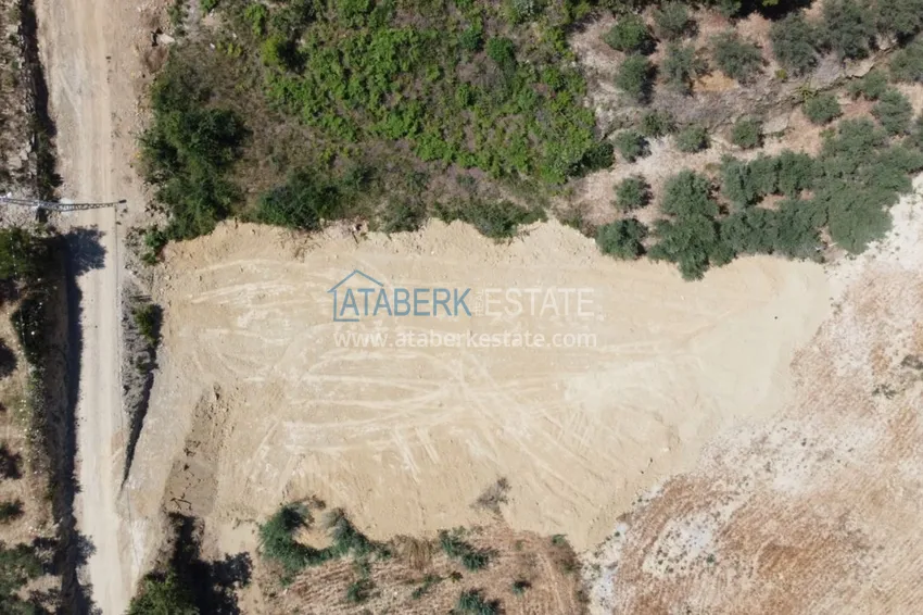 Investment-attractive project of a boutique complex in Avsallar 18 