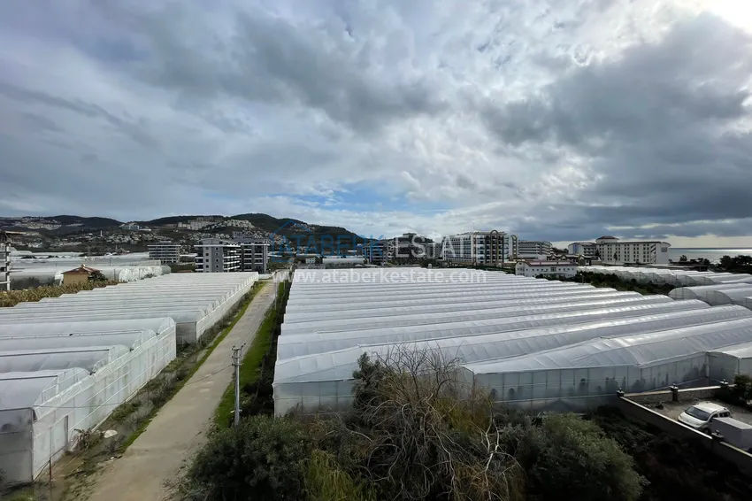 Purchase King size duplex penthouse in Kargicak with a fine finish 37 