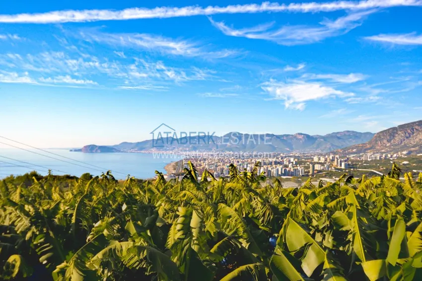 Purchase  Apartment in Kargicak with stunning views from the owner 21 