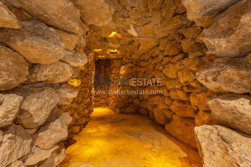 Apartment in Kestel two – room with a fine finish 31 