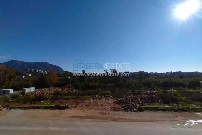 Purchase Apartments in the Oba area in a new modern residential complex 22 