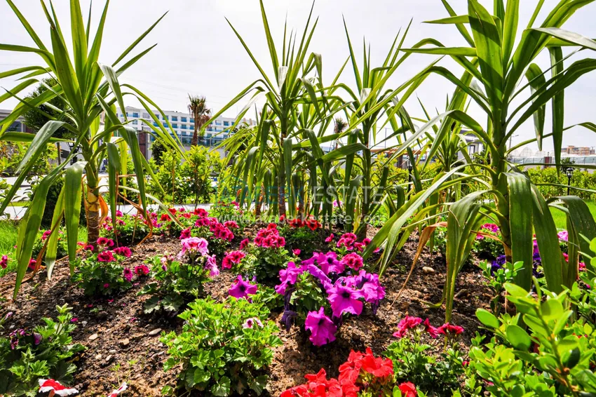 Urgent sale! Furnished apartment in Kargicak with sea and mountain views 10 