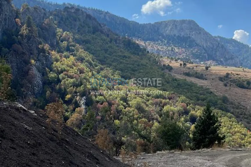 Property in Alanya. The first glamping resort in Alanya 24 