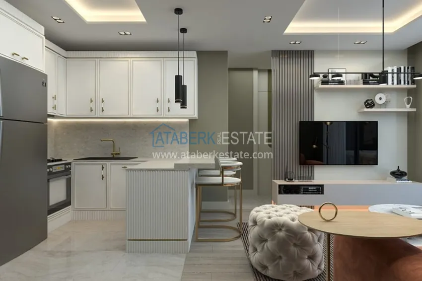 Purchase  An investment-attractive project at the pencil stage in the Soli-Mersin area 13 