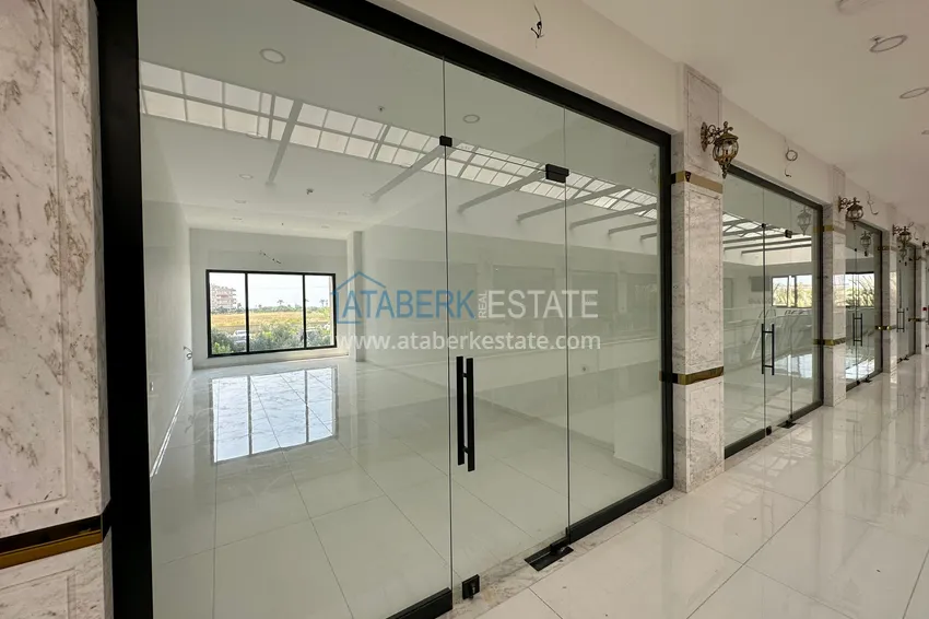 Purchase  The project of a new shopping center in the tourist area of ​​Alanya - Turkler 7 