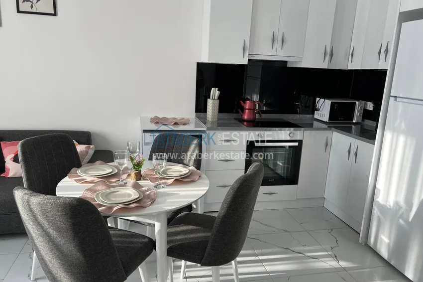 Purchase One bedroom apartment for rent with sea view in Alanya, Avsallar district 8 