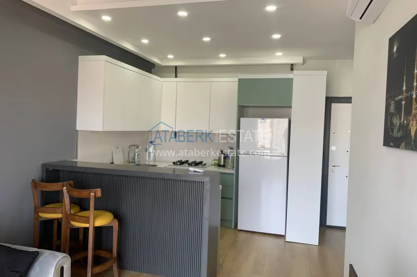 Purchase One bedroom apartment with furniture and appliances directly from the owner - Teje district, Mersin 1