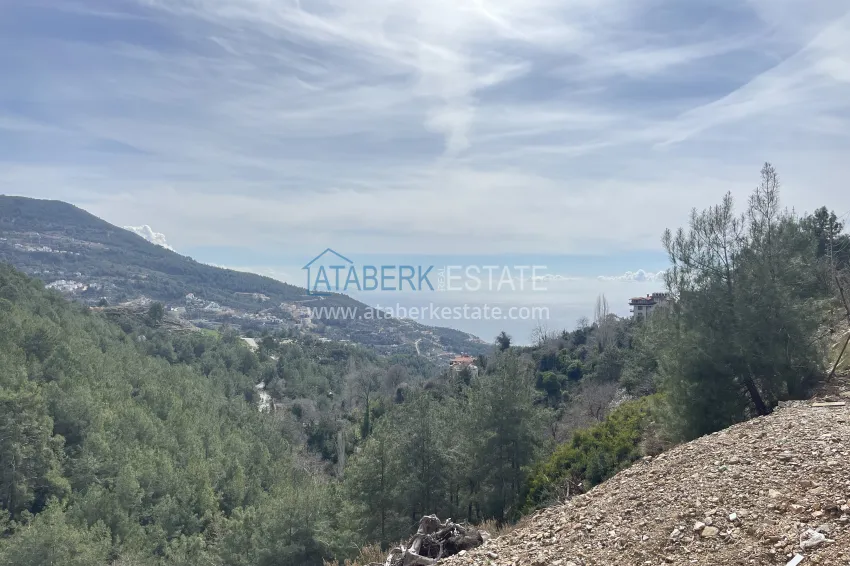 Private 10+2 villa with an avocado garden and panoramic views in Tepe, Alanya - suitable for a residence permit and citizenship 16 