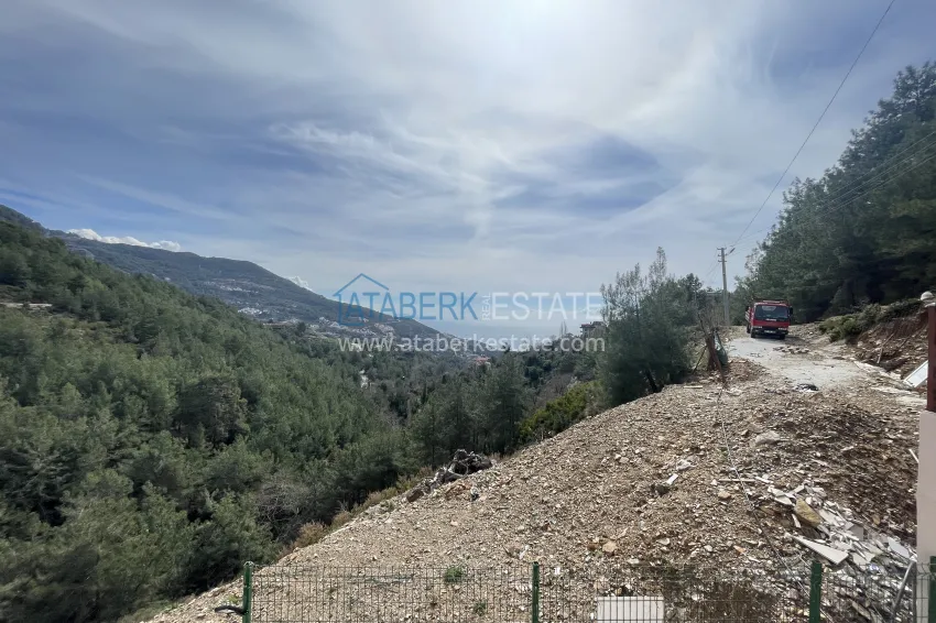 Private 10+2 villa with an avocado garden and panoramic views in Tepe, Alanya - suitable for a residence permit and citizenship 17 