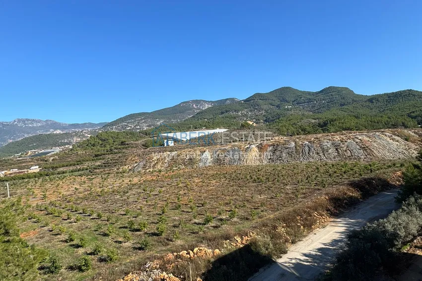 Purchase  Spacious duplex penthouse with panoramic mountain views — Alanya, Upper Oba 41 