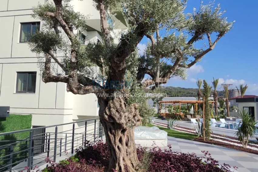 Turnkey apartment in Alanya, Demirtash district in a new complex 6 