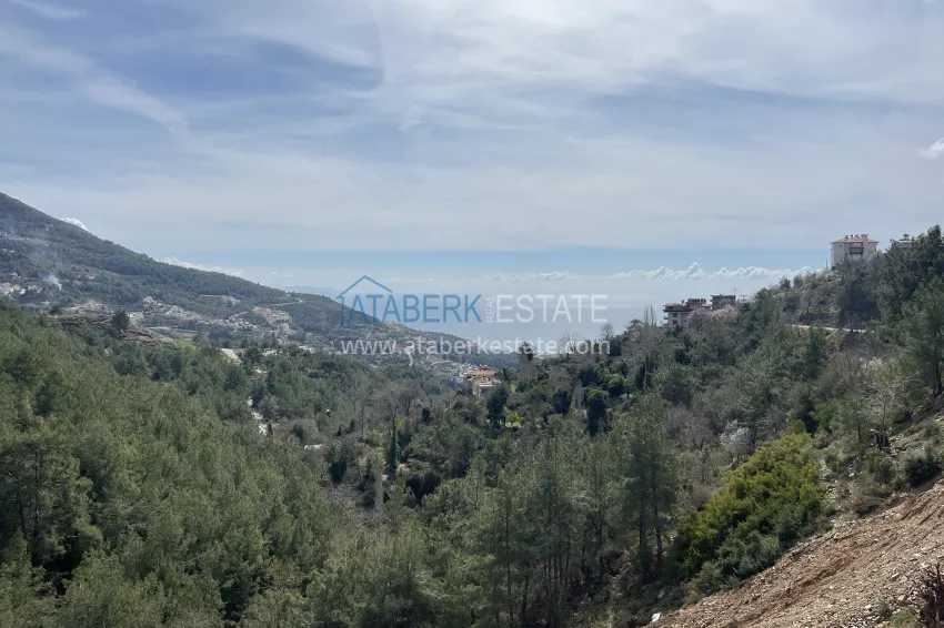 Purchase  Private 10+2 villa with an avocado garden and panoramic views in Tepe, Alanya - suitable for a residence permit and citizenship 76 