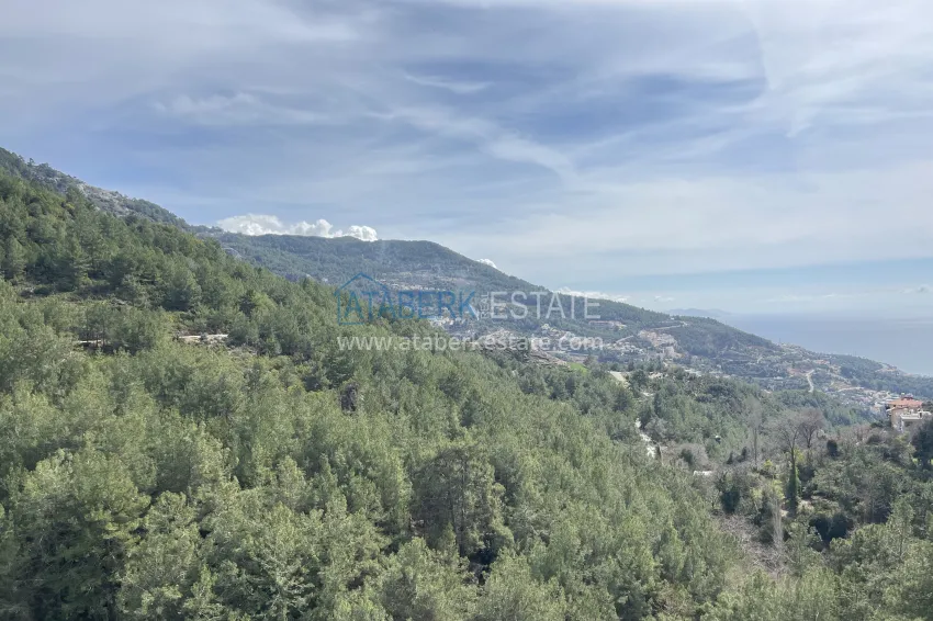 Purchase  Private 10+2 villa with an avocado garden and panoramic views in Tepe, Alanya - suitable for a residence permit and citizenship 77 