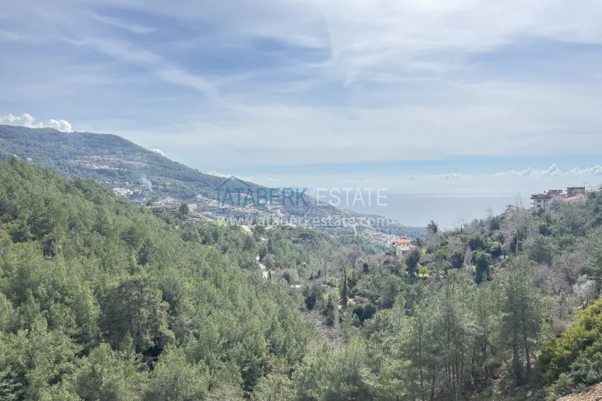Purchase  Private 10+2 villa with an avocado garden and panoramic views in Tepe, Alanya - suitable for a residence permit and citizenship 78 