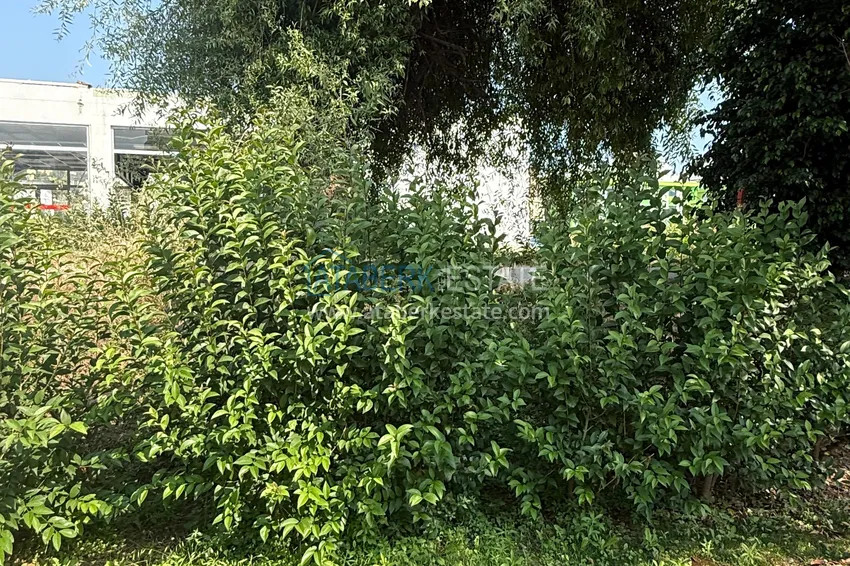 Newly furnished three-room apartment after renovation in a residential complex by the river, Kestel, Alanya 18 