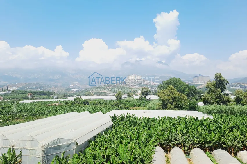 Purchase  1+1 apartment with mountain and sea views, Kargicak district in Alanya 12 