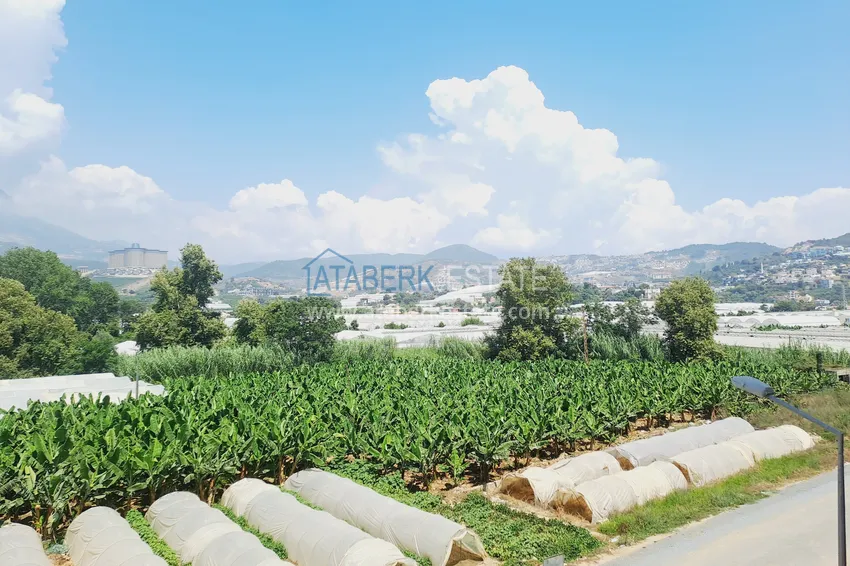 Purchase  1+1 apartment with mountain and sea views, Kargicak district in Alanya 13 