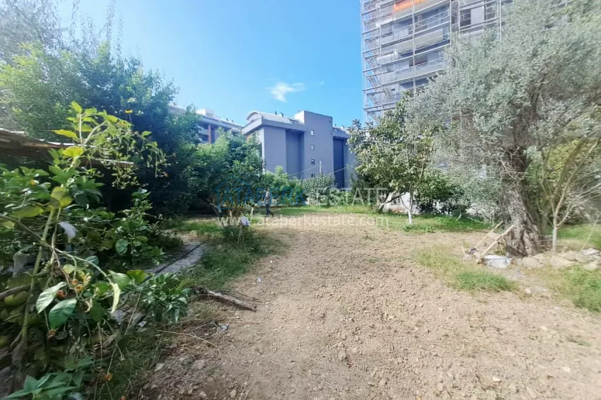 Photo - Apartments from the developer in Avsallar — favorable installment terms 11 