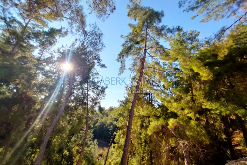 1+1 apartment with sea view in Avsallar — an advantageous offer from the owner 25