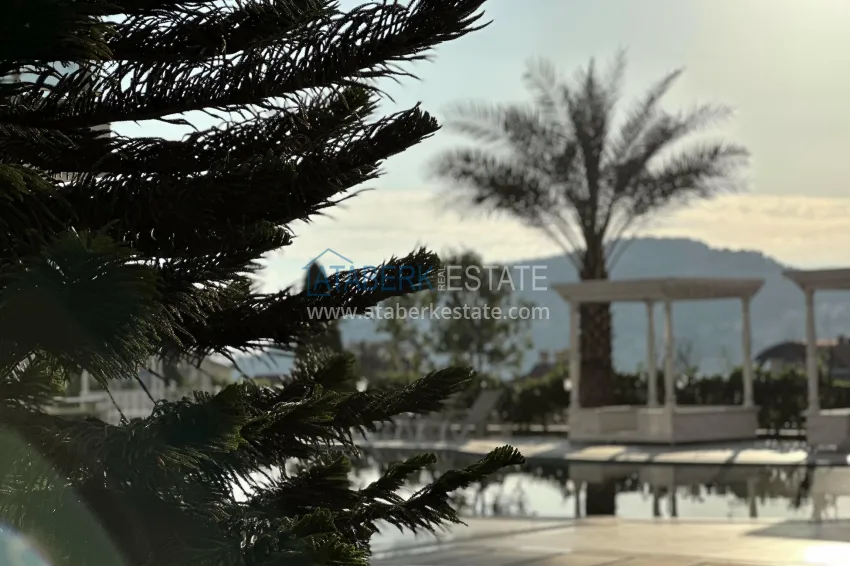 Premium complex for those wishing to obtain Citizenship 13